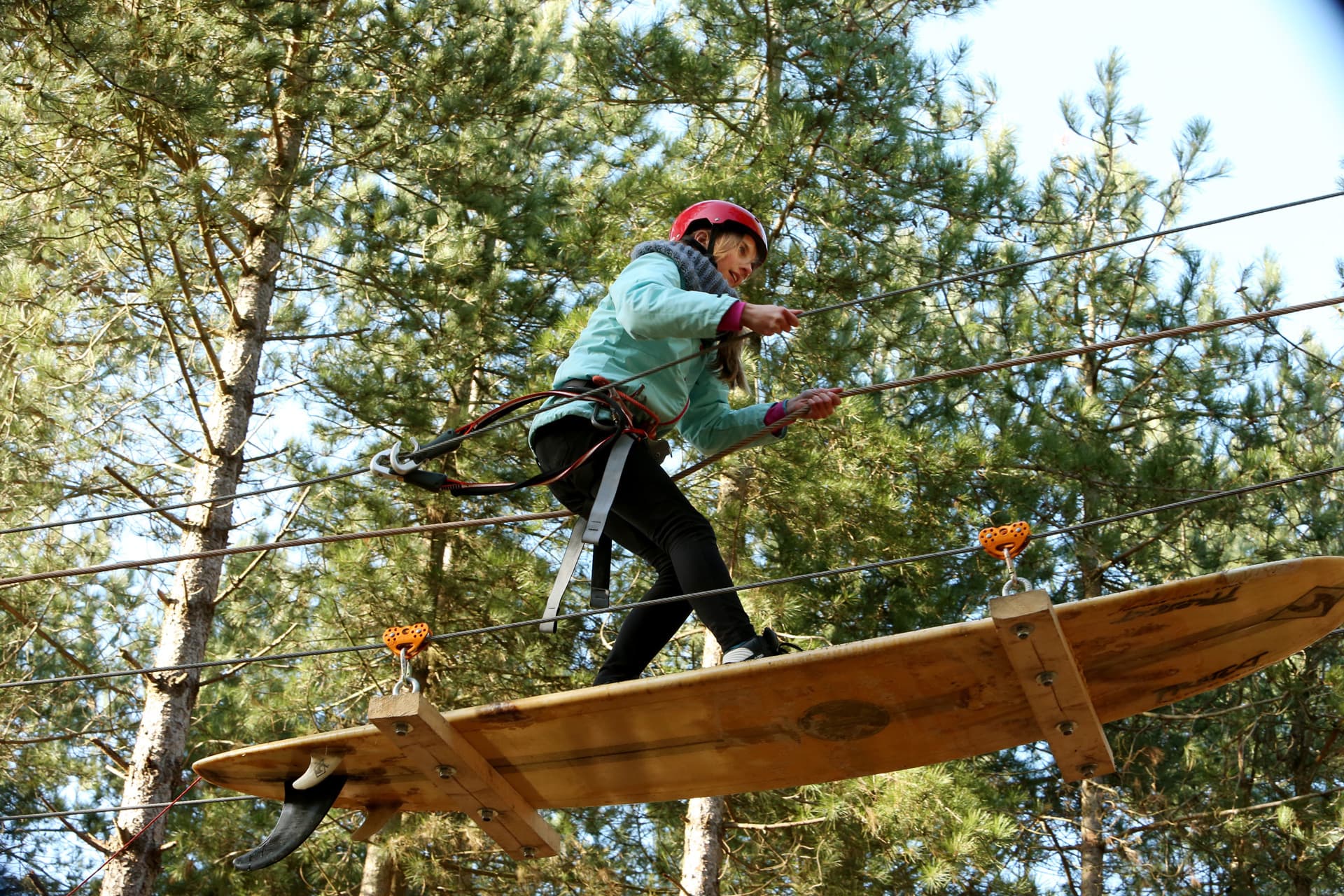Scholen op terschelling