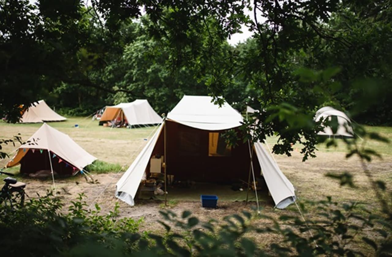 Staatsbosbeheer camping lies lies