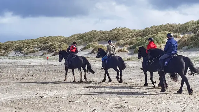 Paardrijden