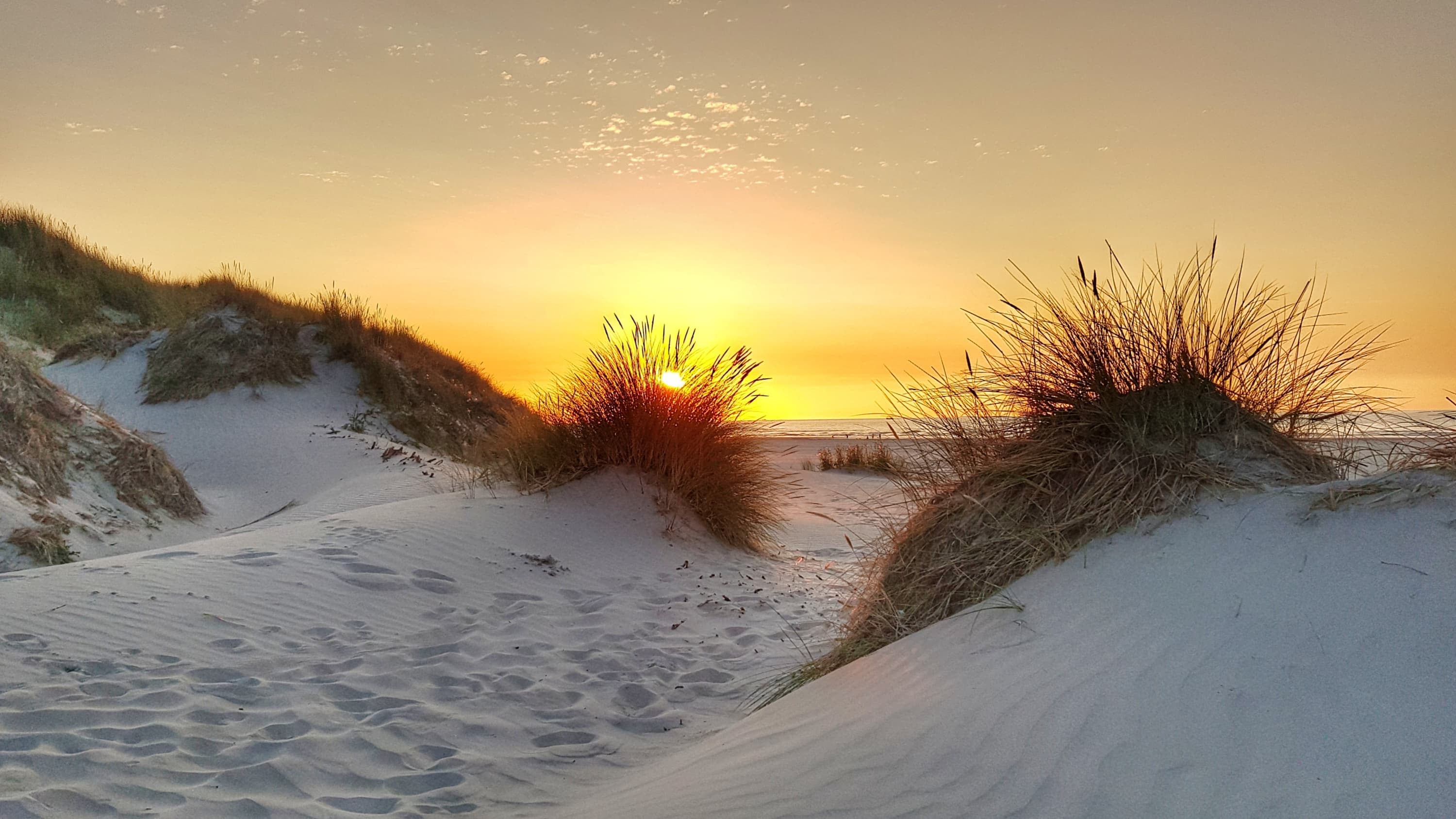 Typisch terschelling