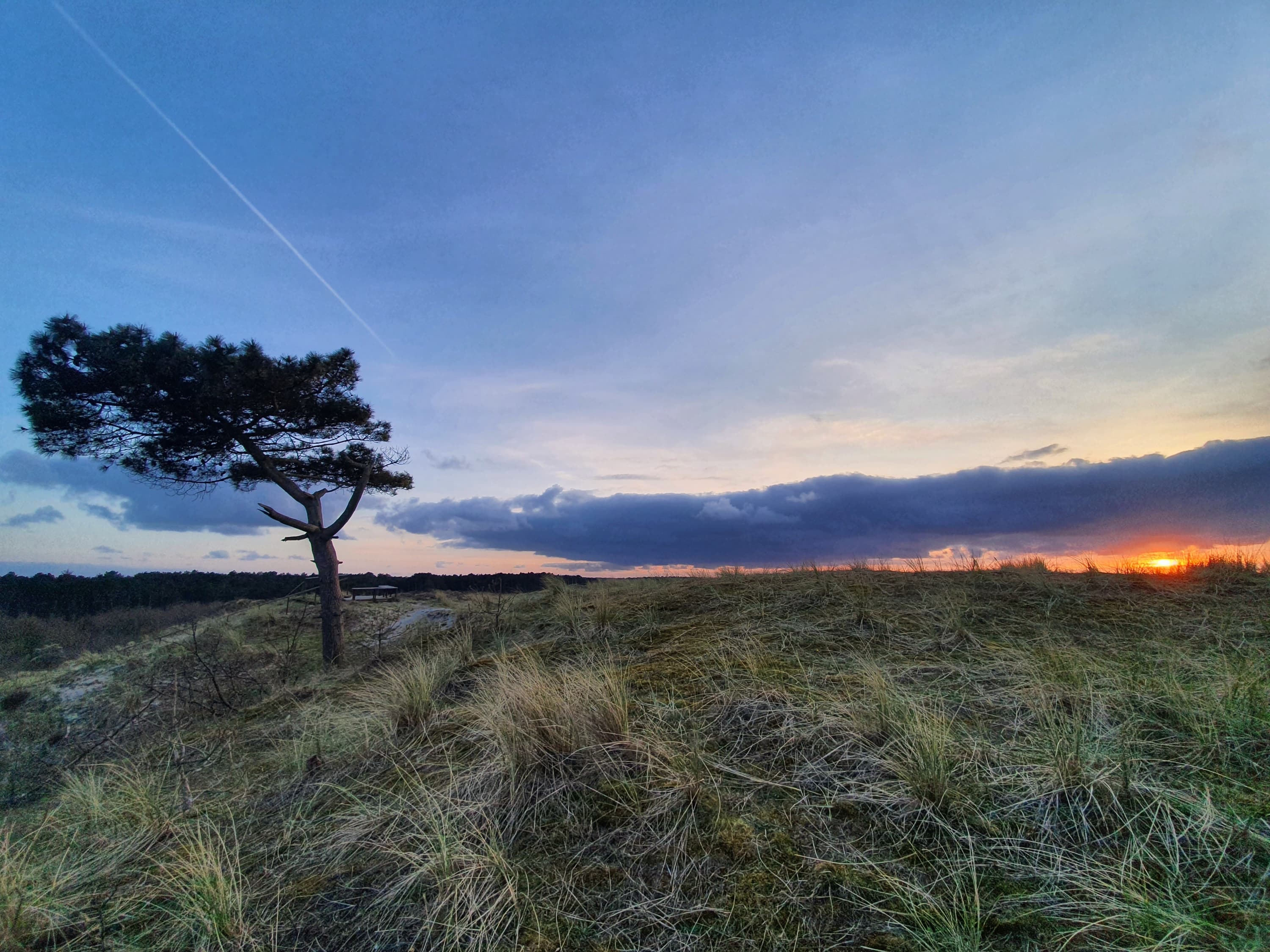 Welkom op terschelling