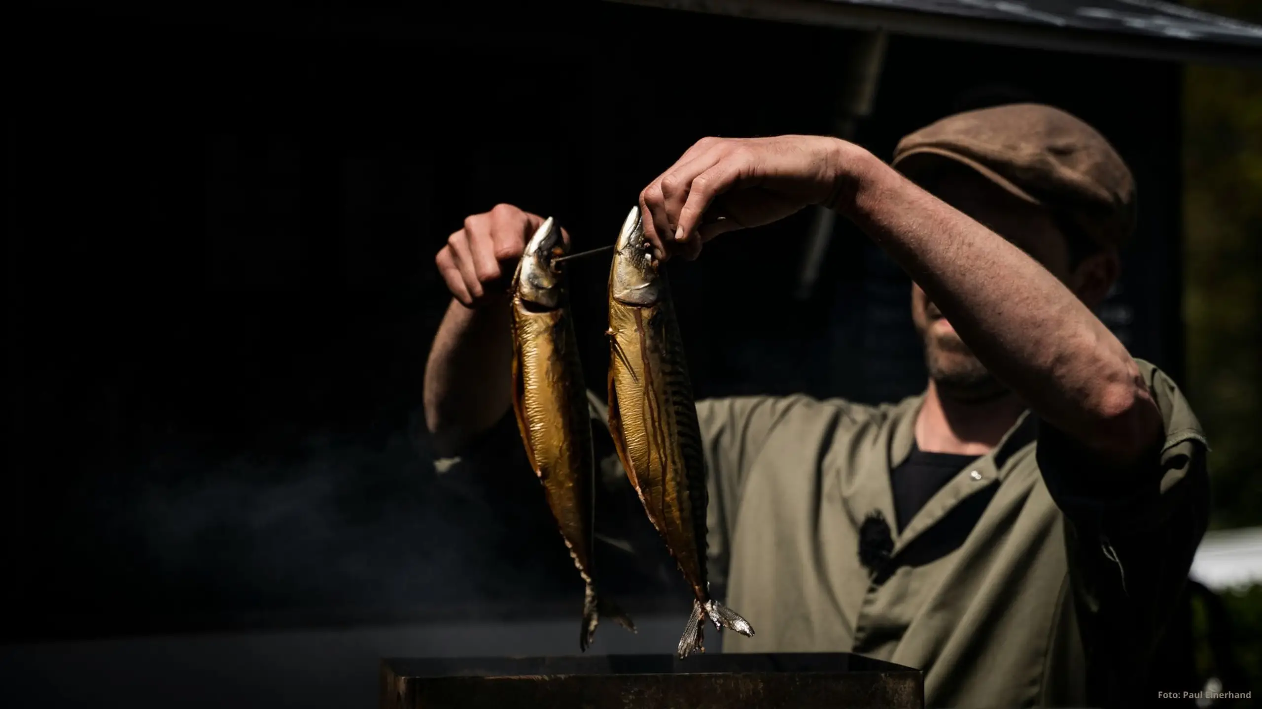 Photo by Paul Einerhand on Unsplash 1