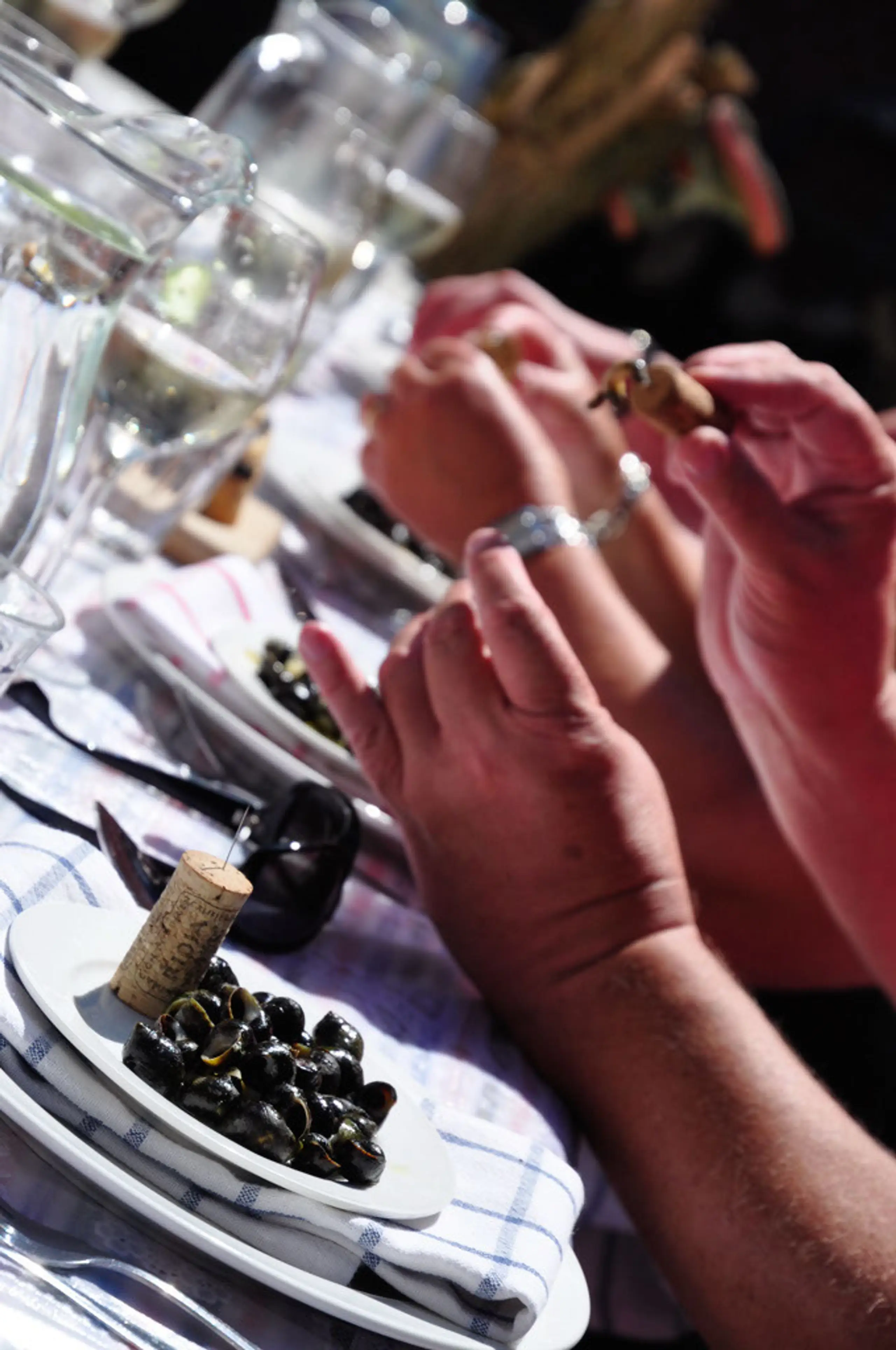 Close handen alikruiken Vincent Zwart