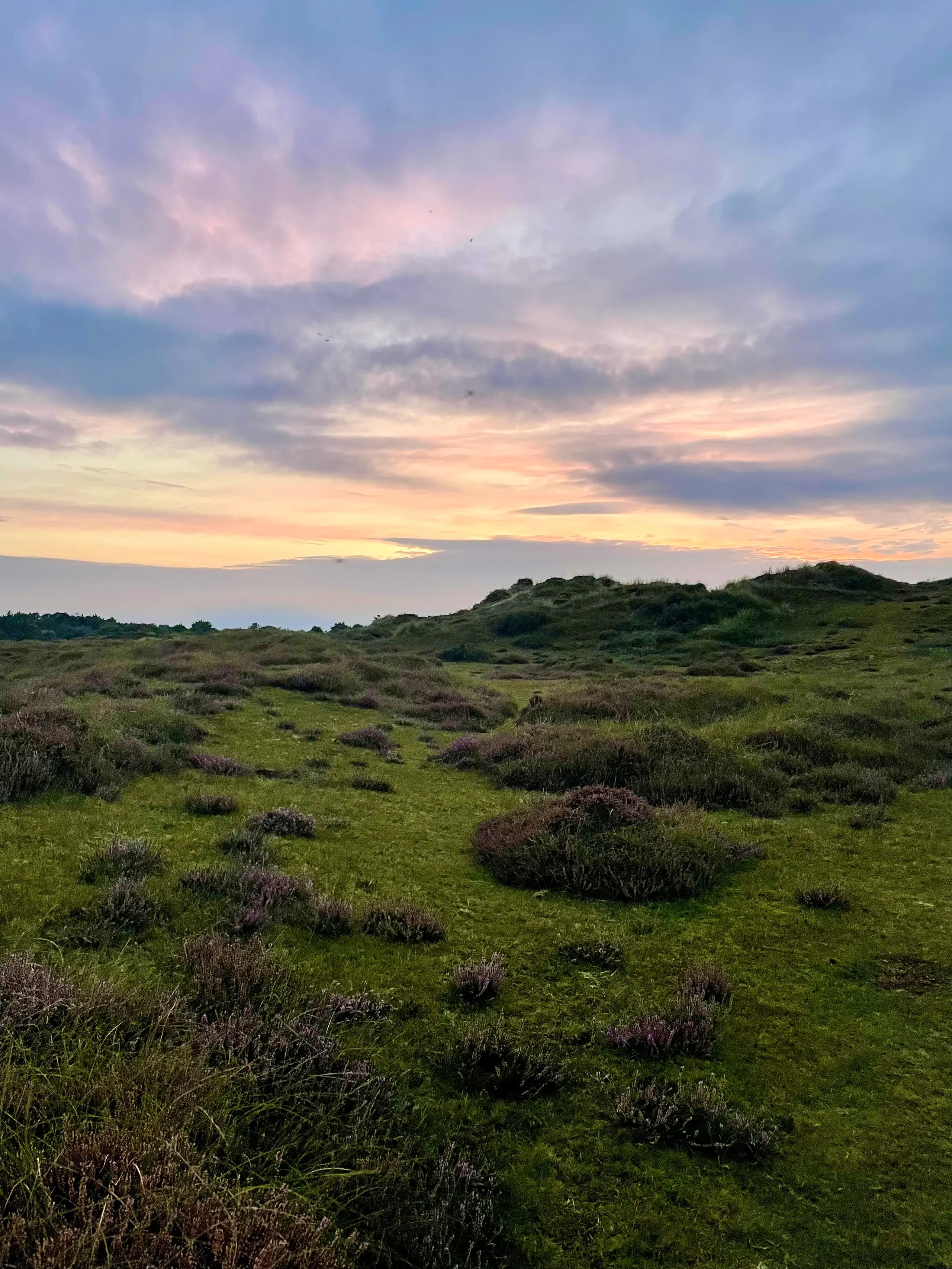 Landerumerheide