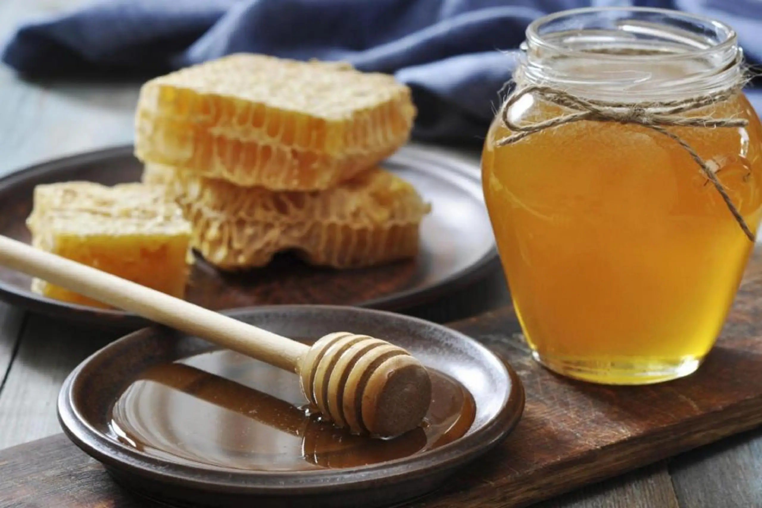 Proeverij honingheerlijkheden Bijenpark Terschelling 0