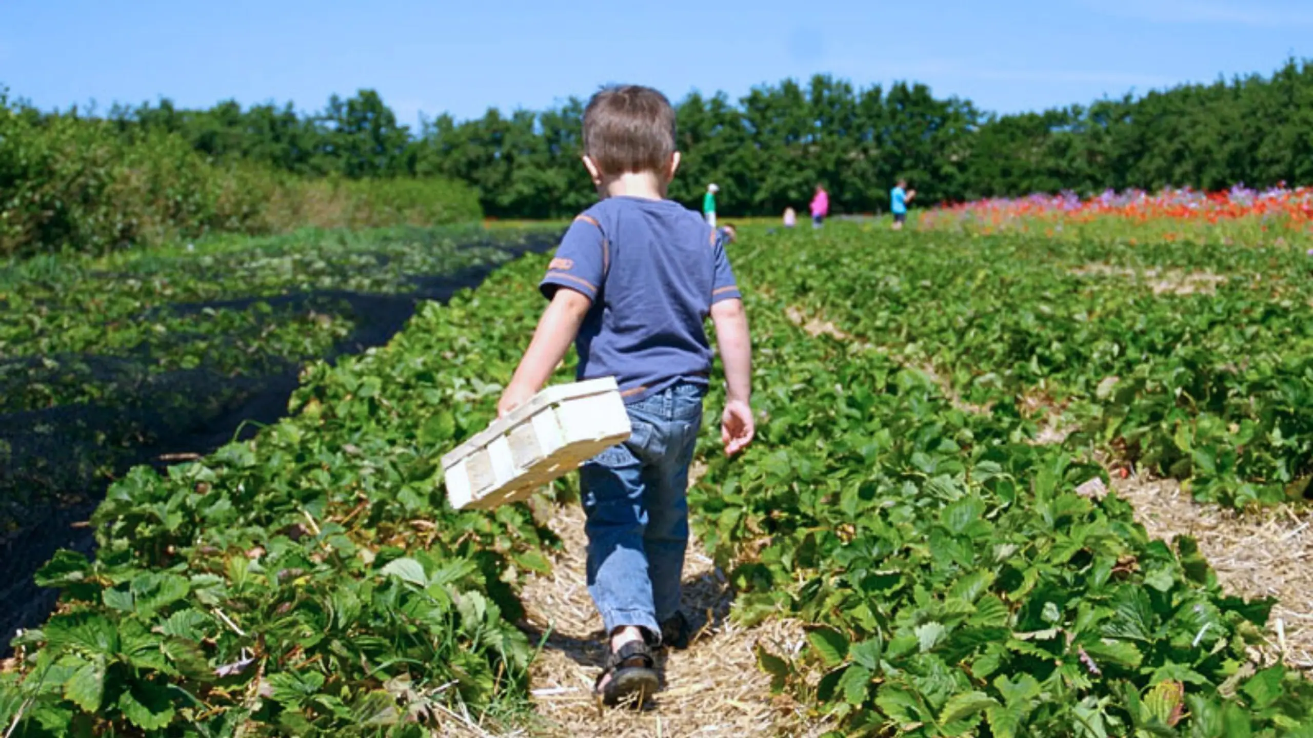 Photo by Paul Einerhand on Unsplash 17