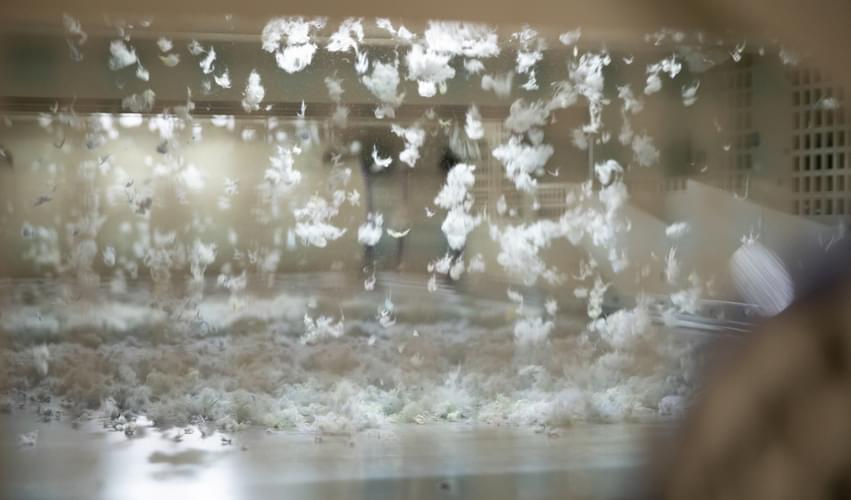Sneak peak at Recover™ recycled cotton fibers inside our recycling machine. Our process is proprietary and ensures maximum fiber length output and quality across all our hubs.