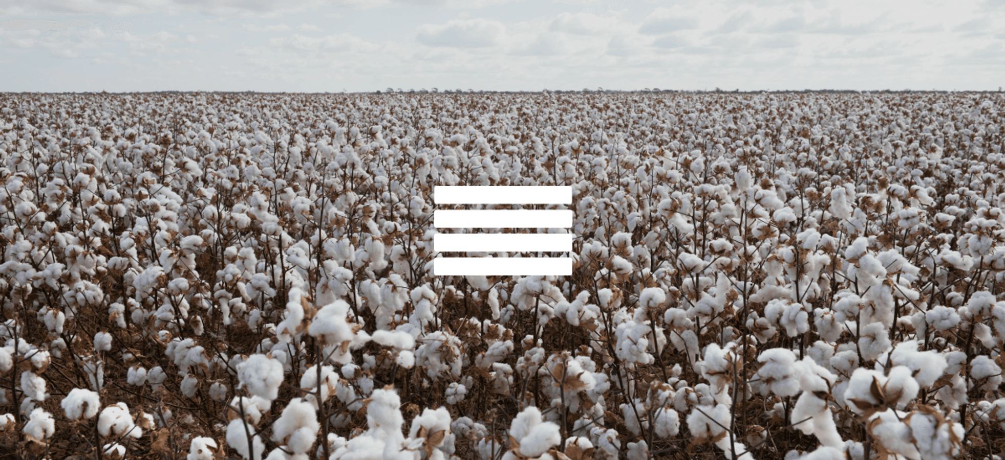 Biodiversity: What are the benefits of recycled cotton?