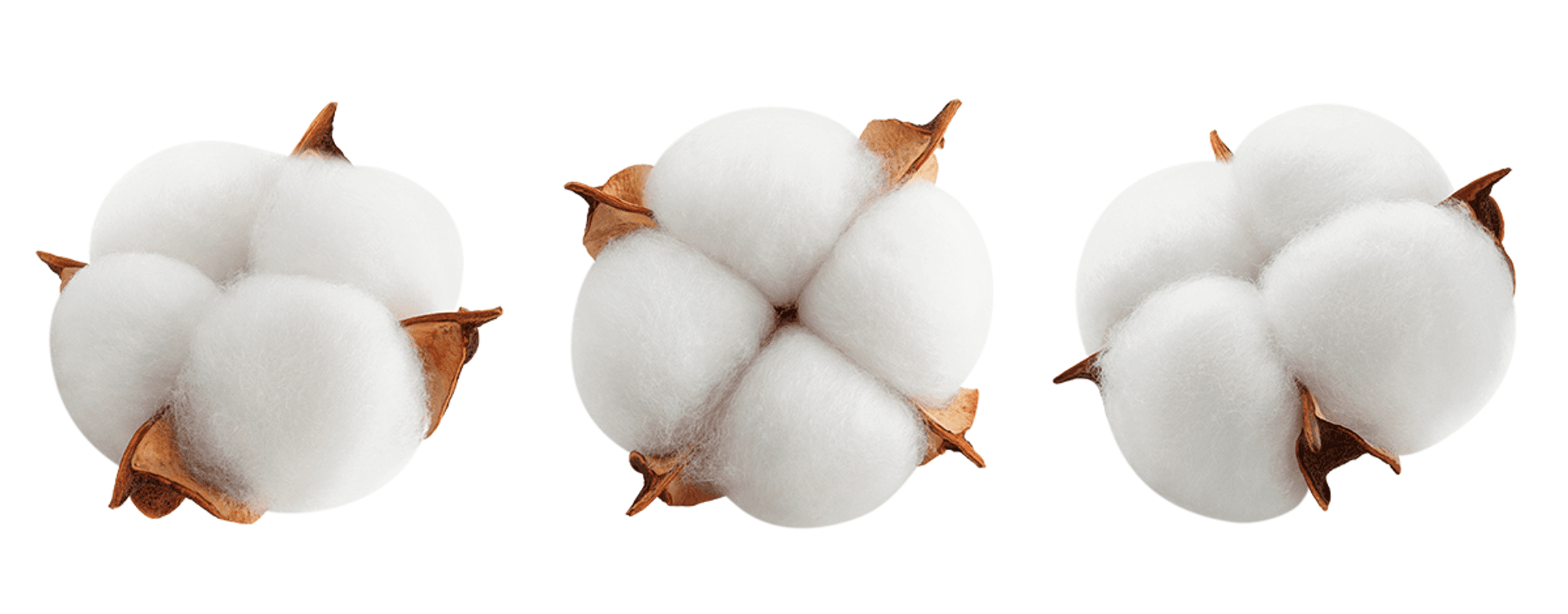 Cotton's Environmental Footprint: is cotton eco-friendly?