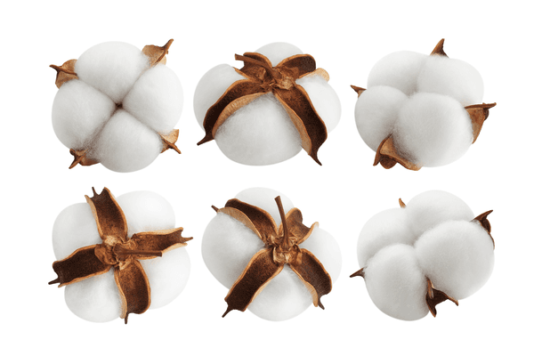 Cotton's Environmental Footprint: let’s break it down