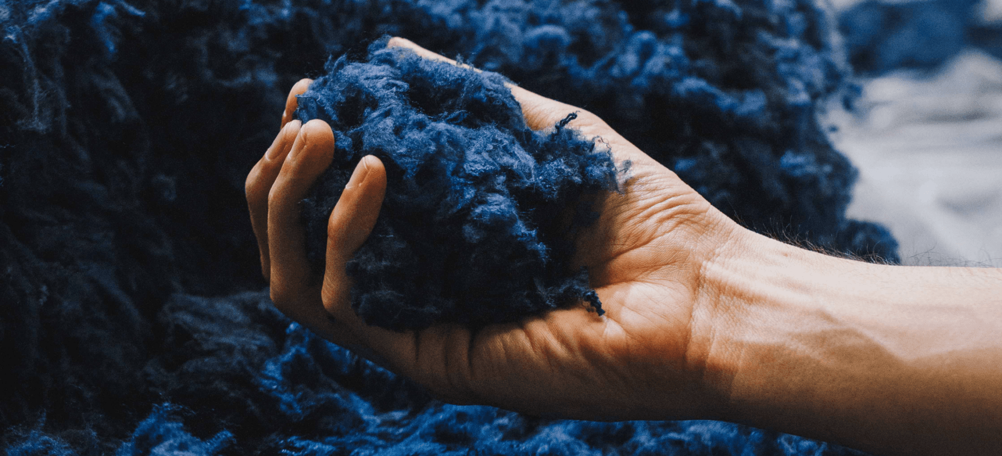 Picture of our blue recycled cotton fiber at the Recover recycling facilities in Spain