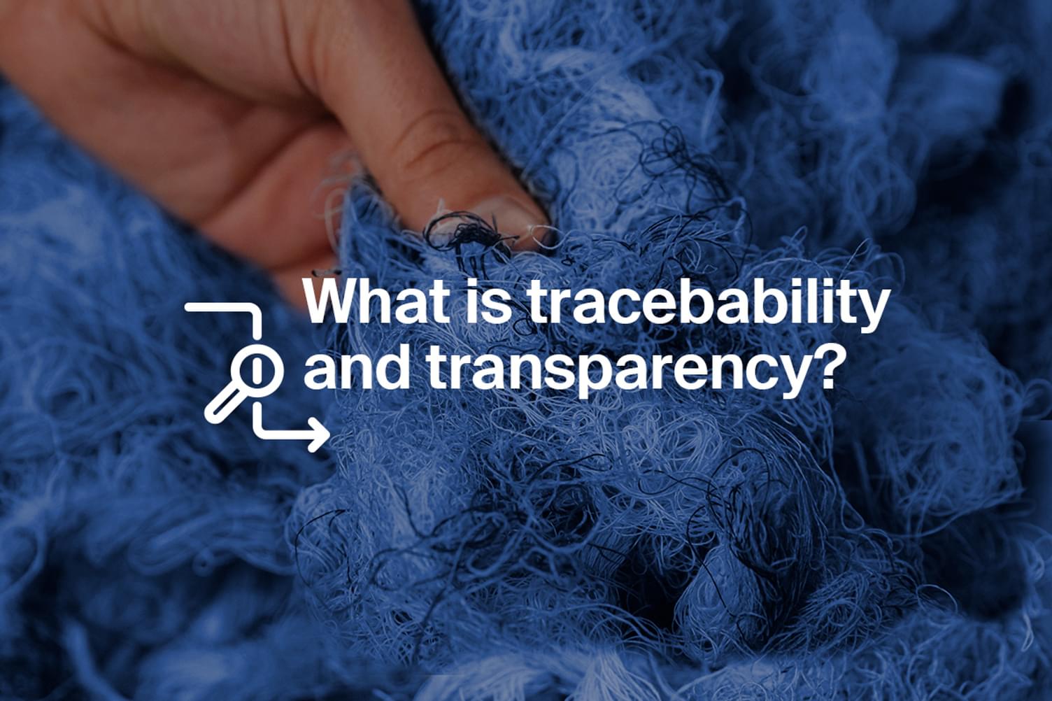 What is Traceability and Transparency in the fashion… | Recover™