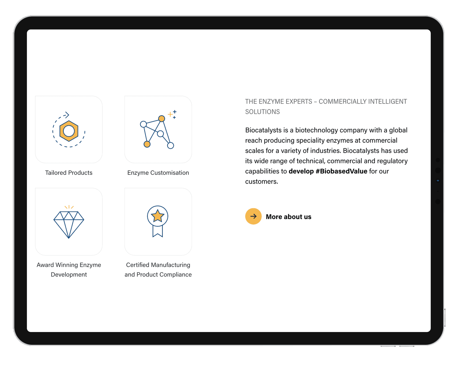 Bespoke iconography to support information architecture