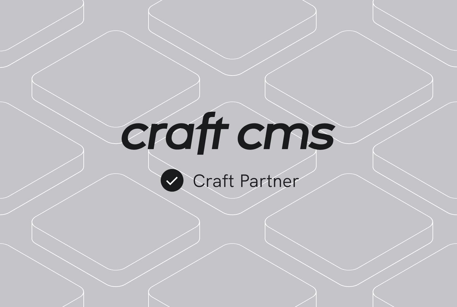 Craft CMS Partner webdna