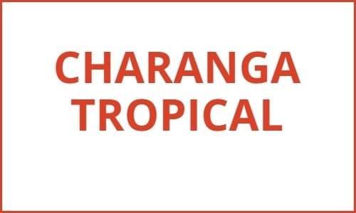 CHARANGA 500 X 300
