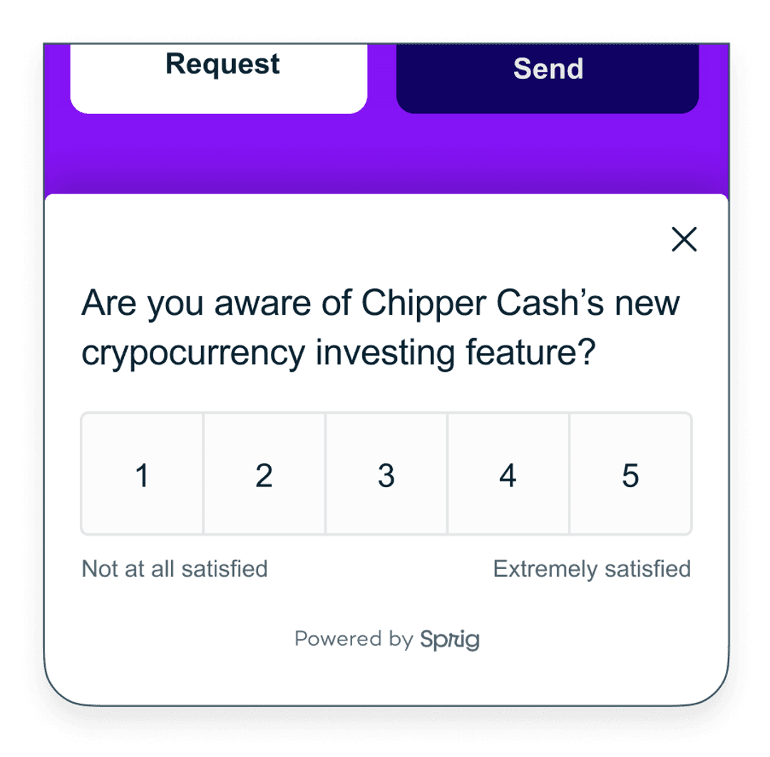 Chipper Cash Survey