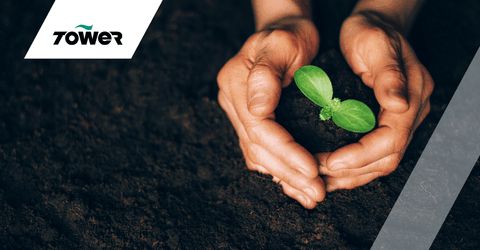 3 nurture success