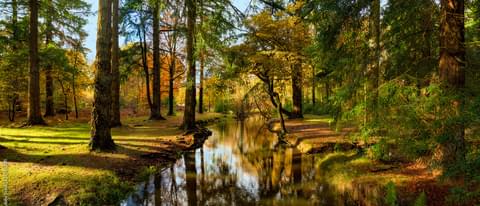 Adobe Stock 253432011 Preview