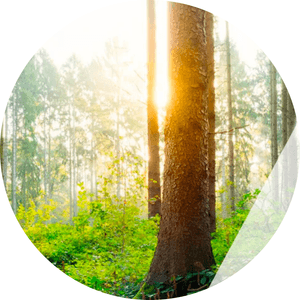 SUSTAINABILITY GUIDE