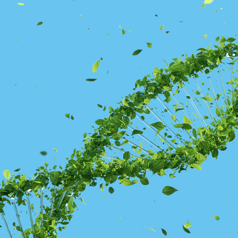 Sustainability DNA 6