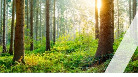 Sustainable Workwear and PPE Guide