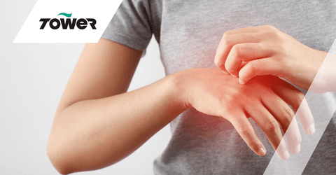 TS ECA vs SAO donked2