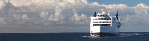 Tower Ferries landing page header