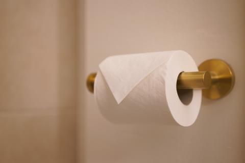 A toilet paper holder in a luxurious bathroom t20 p Wnro Y