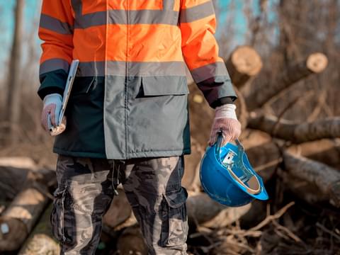 Forestry technician holding protective helmet and 2021 08 28 20 05 41 utc