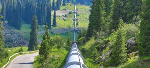 Power image adobestock utilities pipe forest 2024