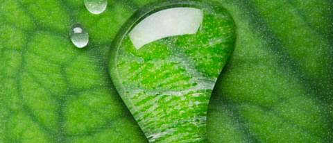 Sustainability graphic