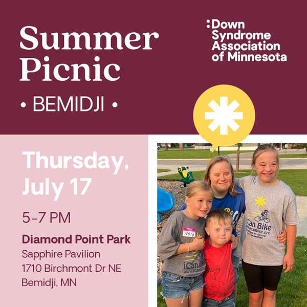 Summer Picnic Bemidji