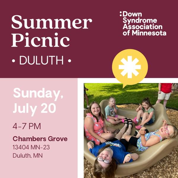 Summer Picnic Duluth