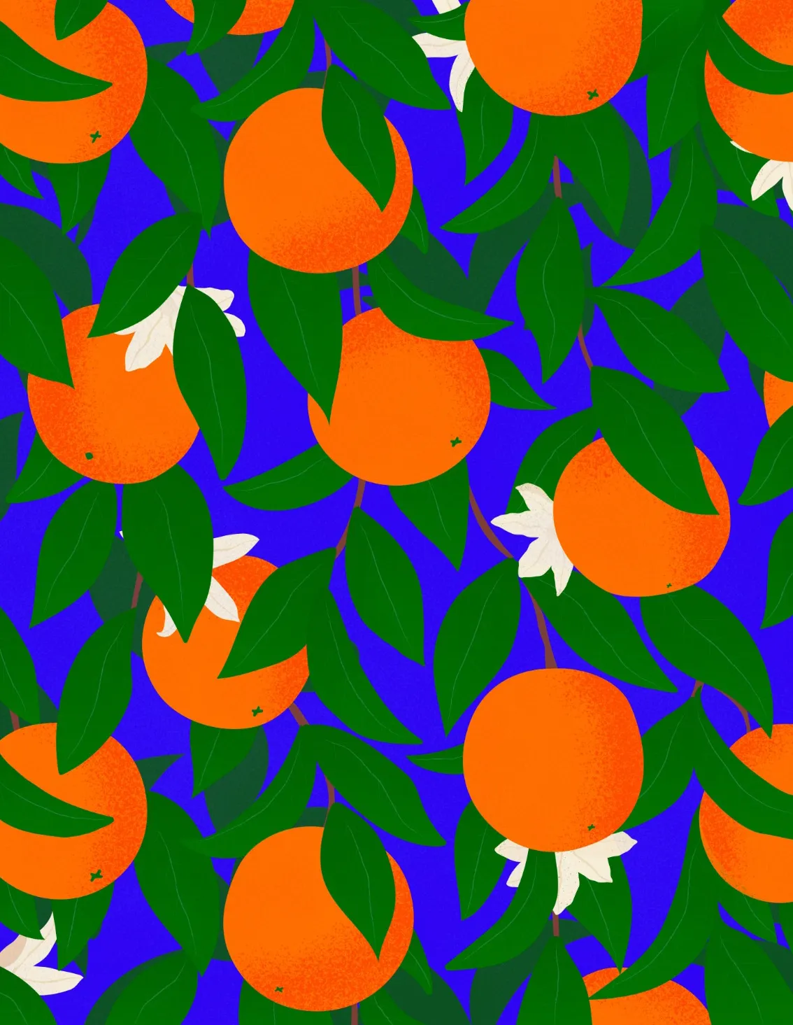 Oranges 1