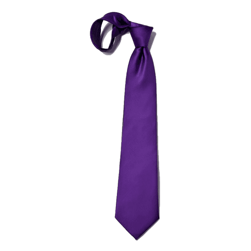 Boys Purple School Tie