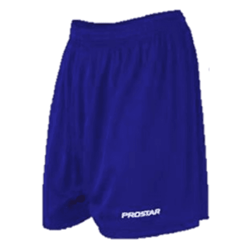 Blue Padded Shorts