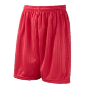 Red Shadow Stripe PE Shorts