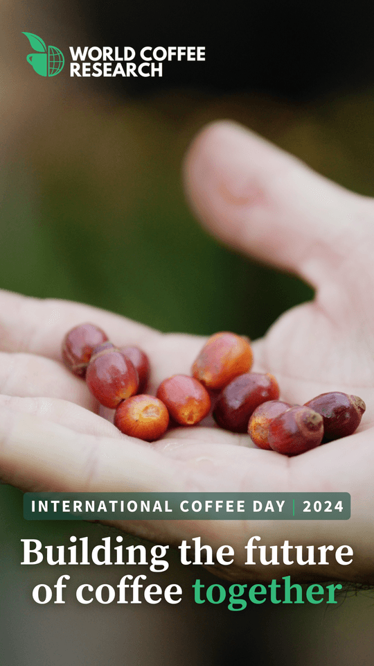 ICD 2024 Cover Photo 1