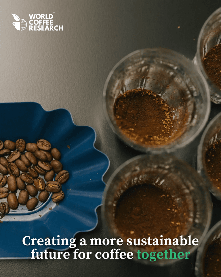 Cover photo_cupping_4