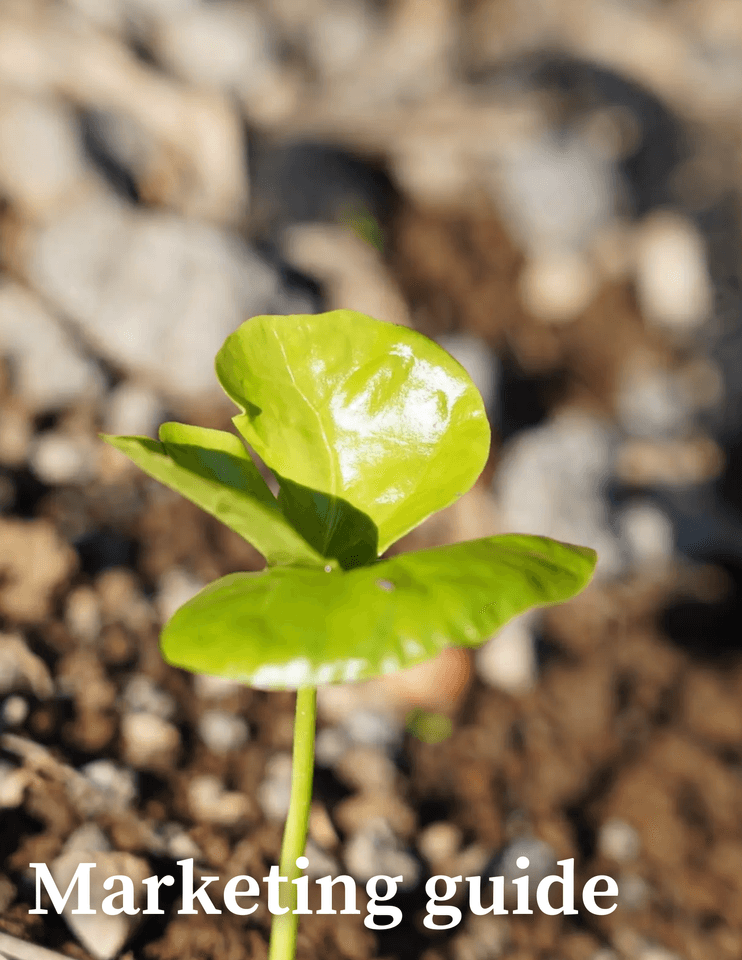 Marketing guide