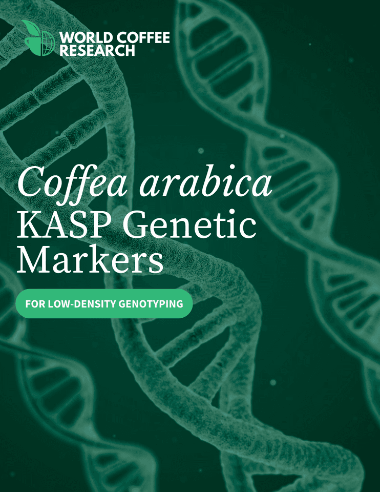 Coffea arabica KASP genetic marker panel 1