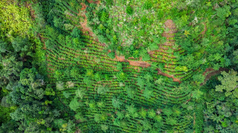 DJI 0047