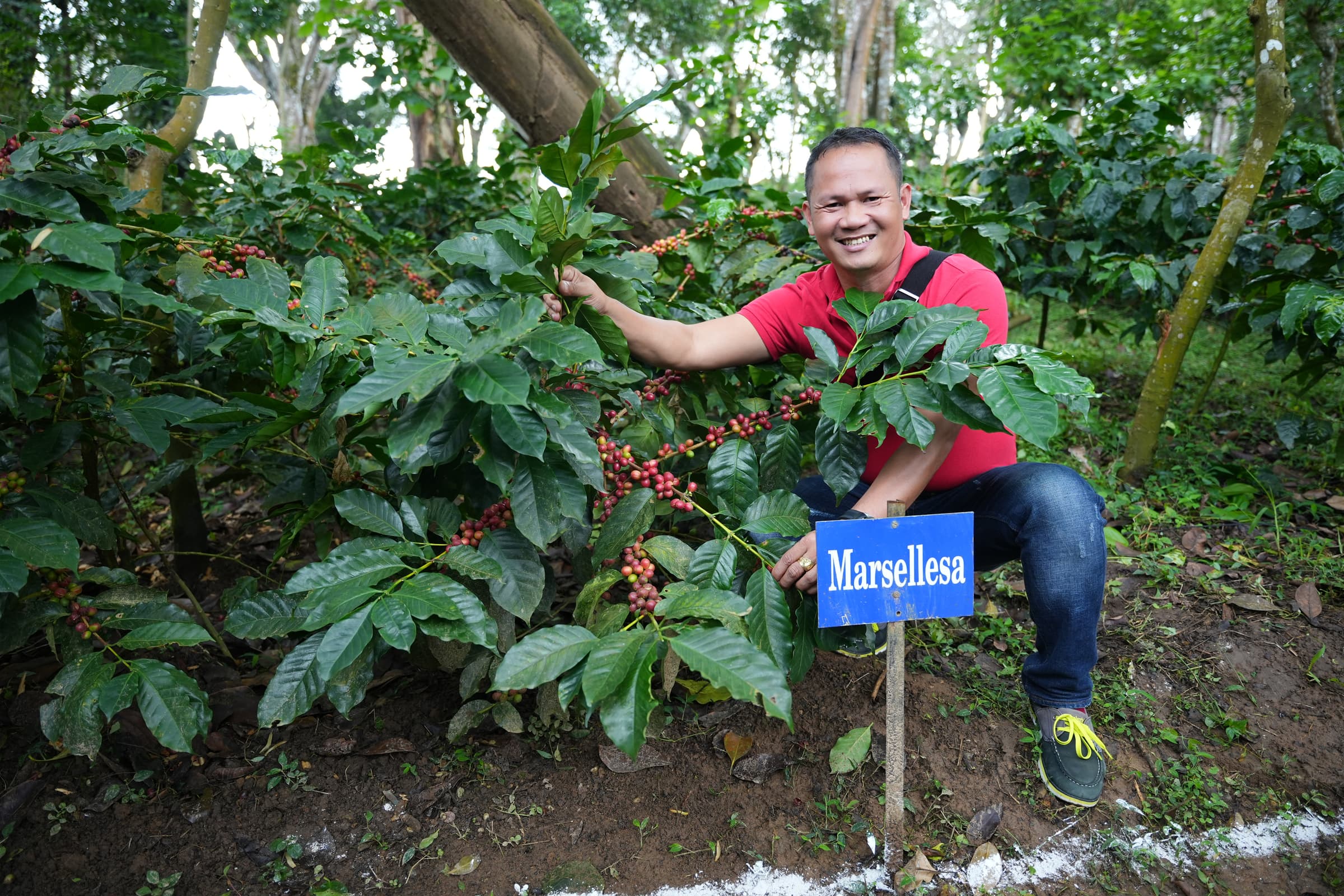 Allan Datu-Imam, a PhilCAFE technical advisor, poses in front of the variety Marsellesa at the Central Coffee Research Institute’s IMLVT plot site in Balehonnur, Karnataka, India.