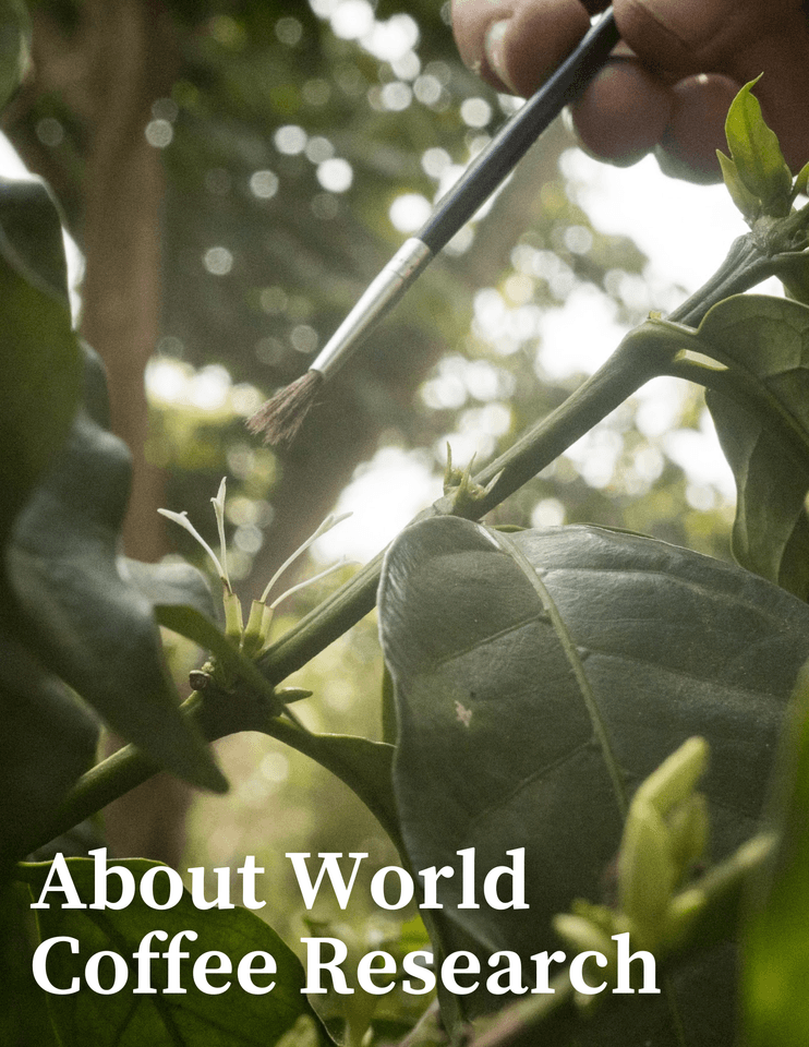 About WCR
