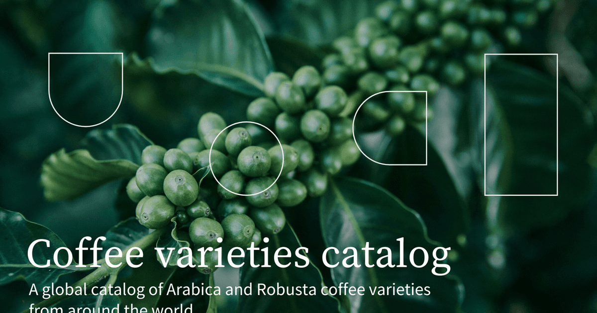 Original-size-Original-size-Coffee-varieties-catalog-1 /upload/thumbnail1/2025/2/23/188465/thumb2