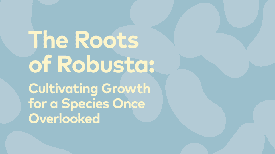 Roots of Robusta Cover
