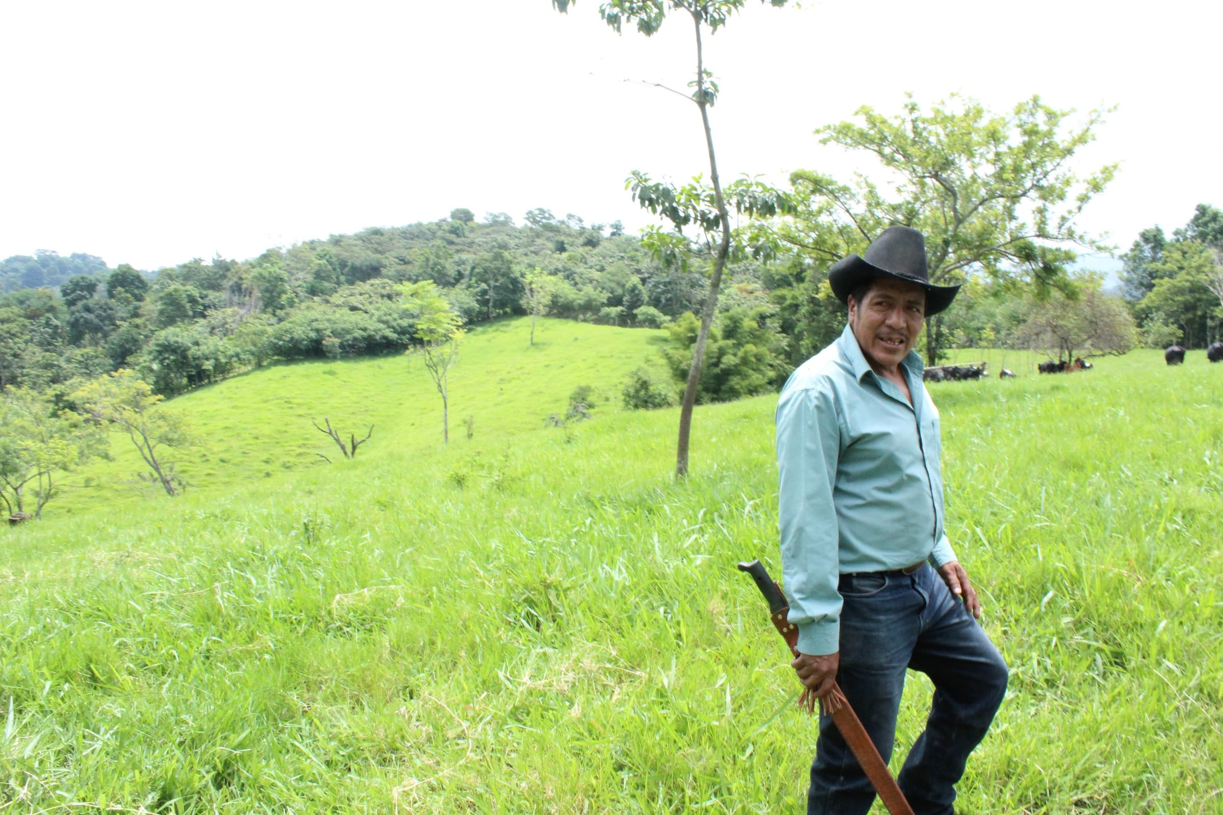 Farmer in Yepocapa of Chuachilil Association original