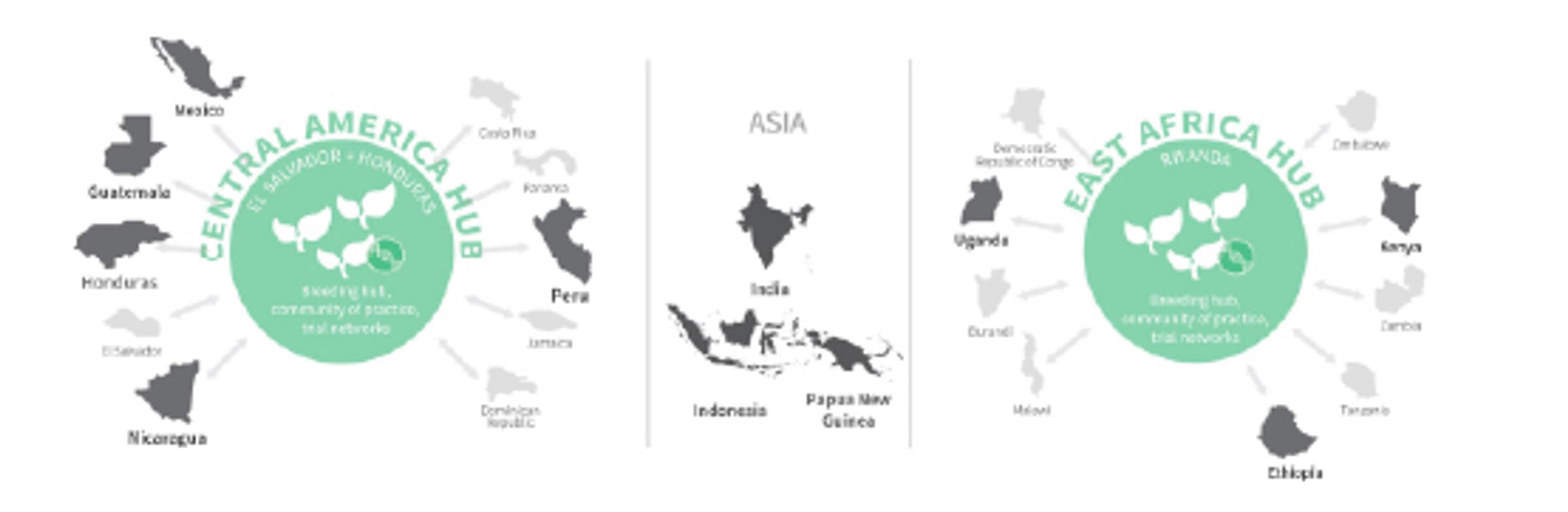 Focus Countries Graphic