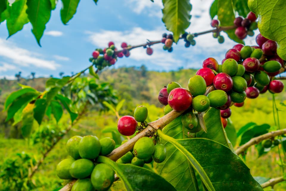 Colombia shutterstock 325255673 full size