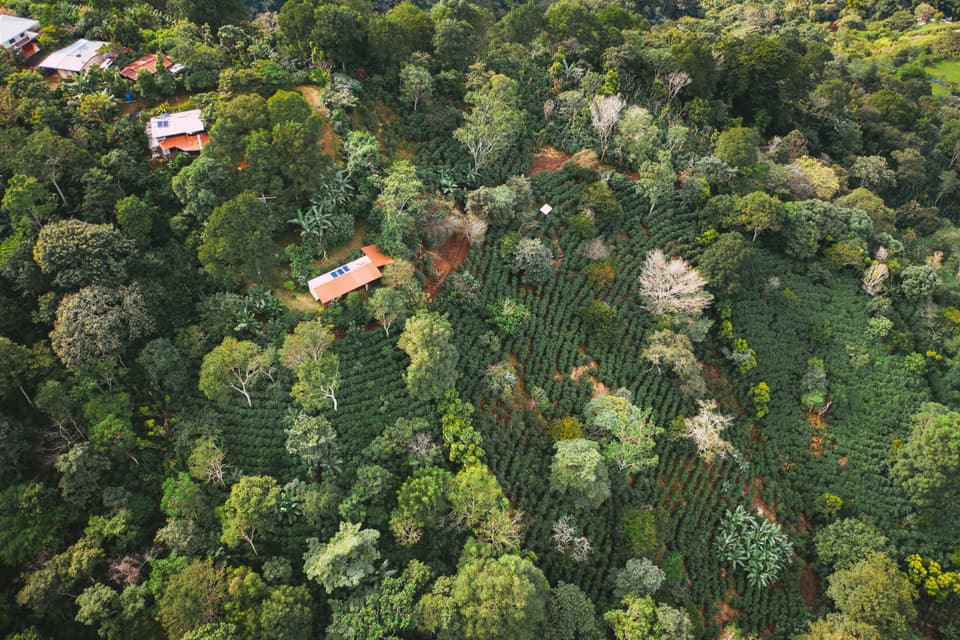 Costa rica aerial